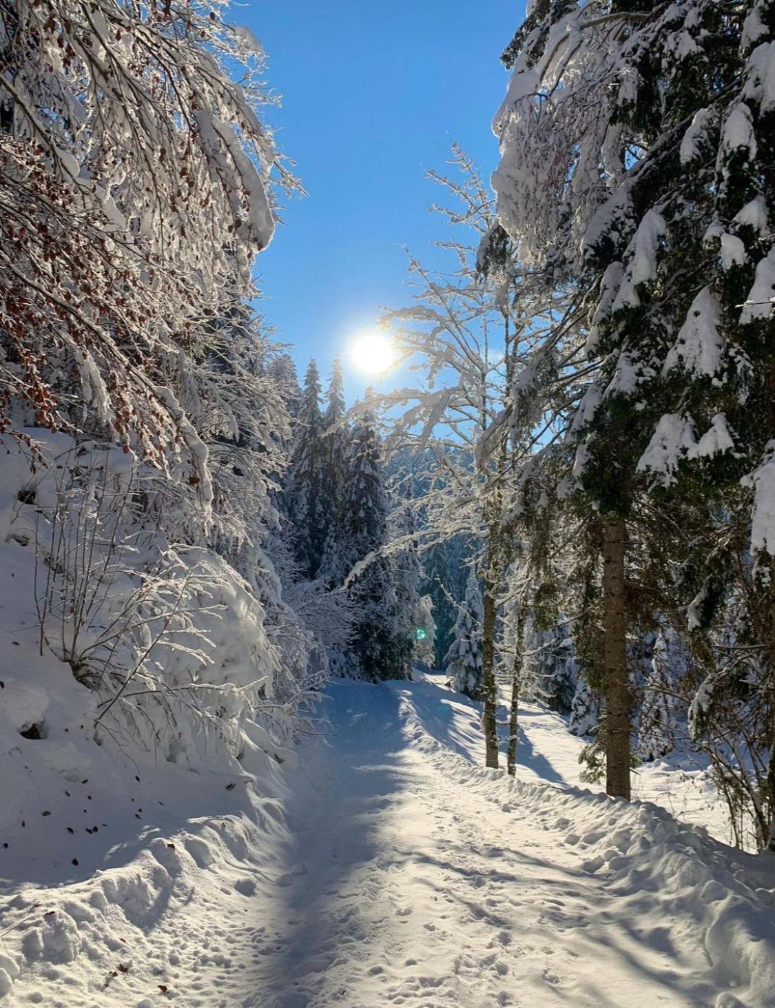 Mountapart Ski In - Ski Out Lägenhet Jochberg Exteriör bild