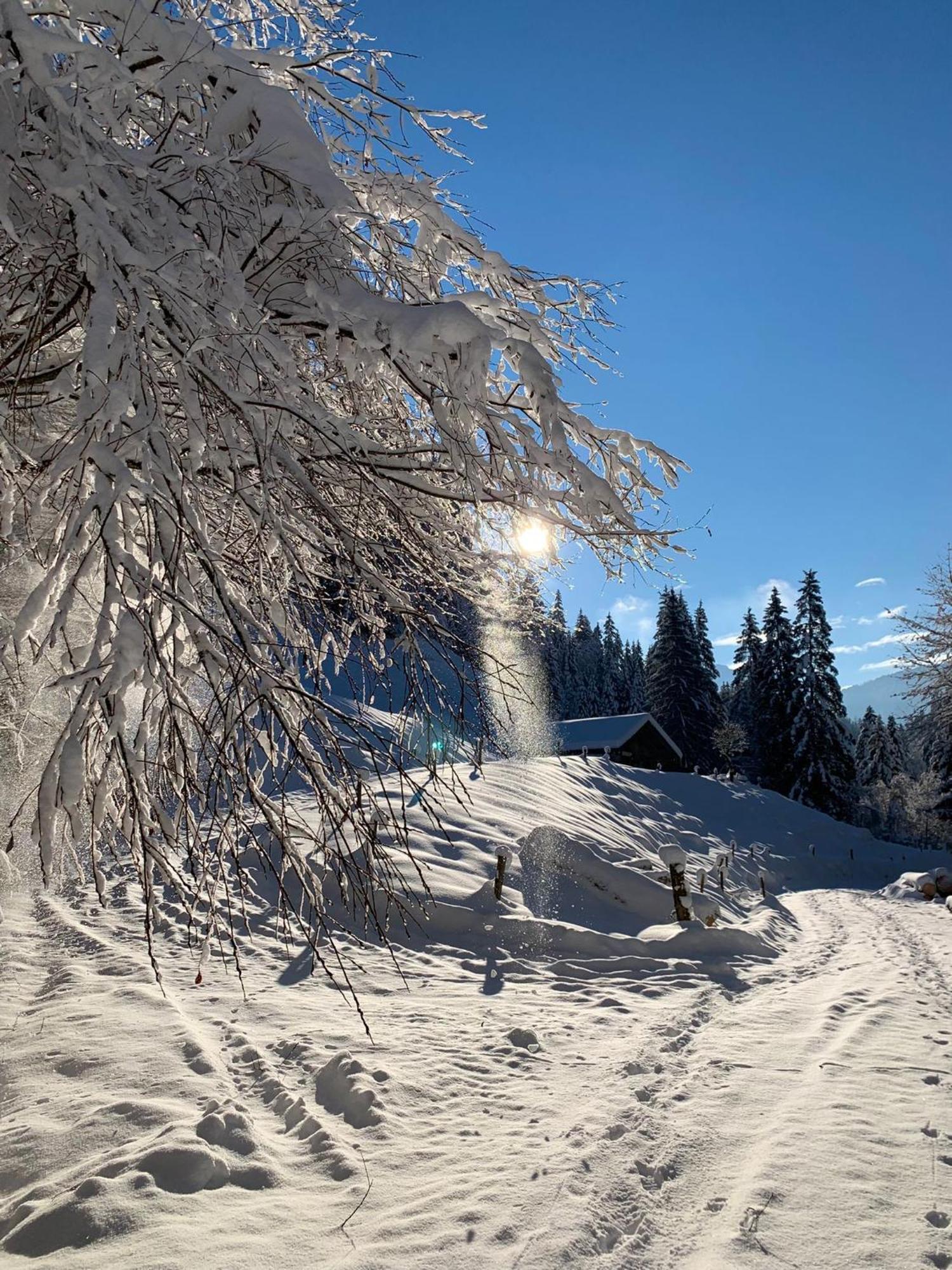 Mountapart Ski In - Ski Out Lägenhet Jochberg Exteriör bild