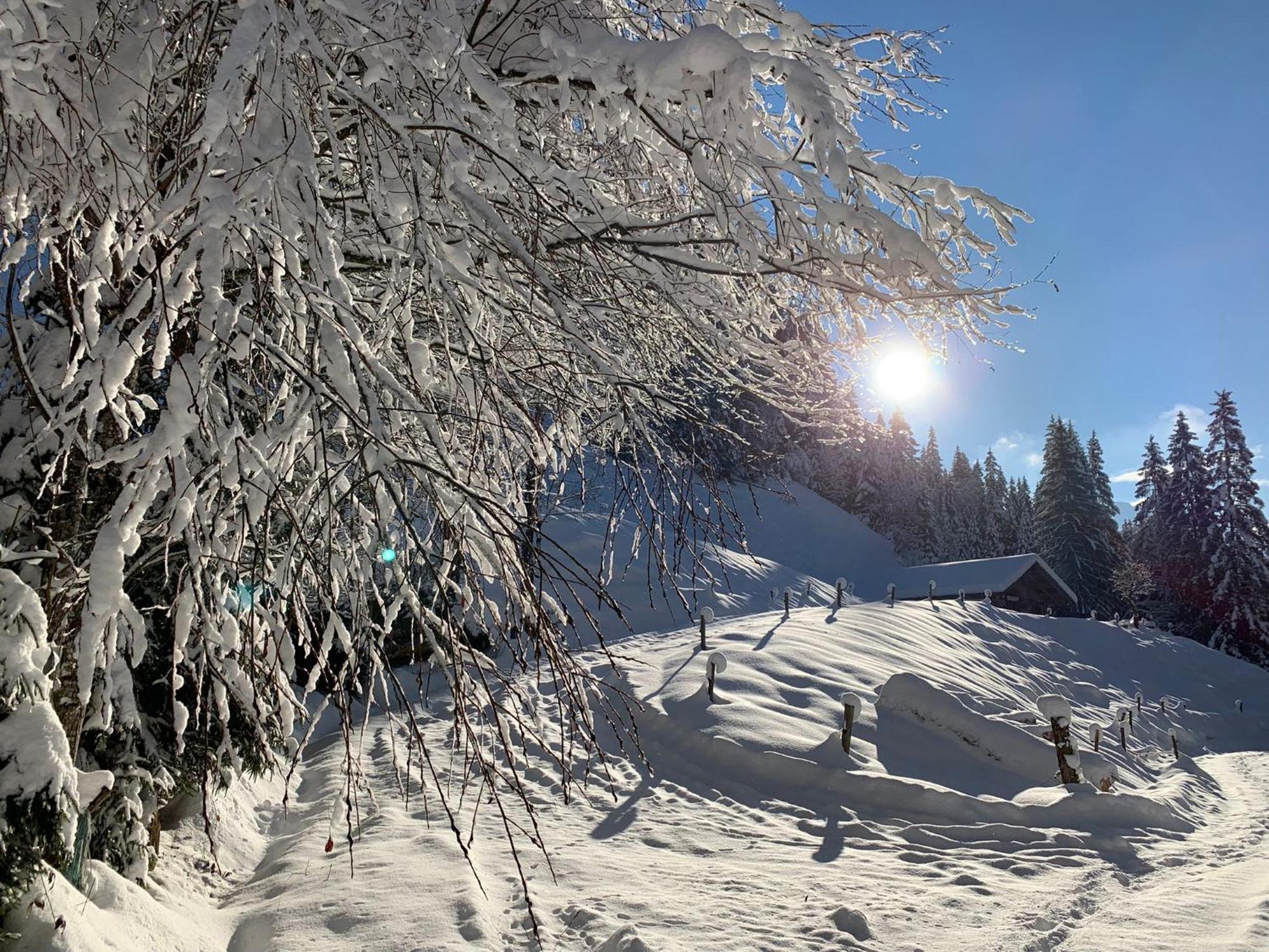 Mountapart Ski In - Ski Out Lägenhet Jochberg Exteriör bild